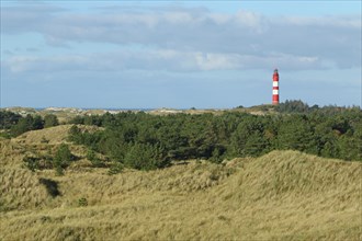 Lighthouse in dune landscape