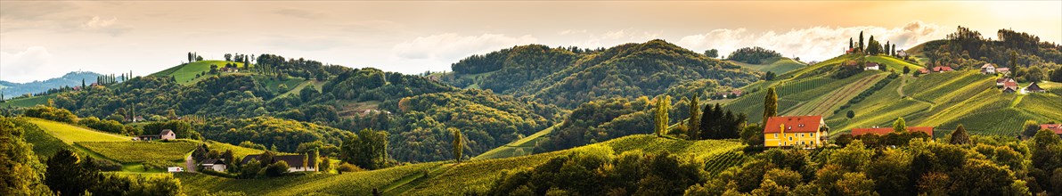 Vineyards panorama in South Styria