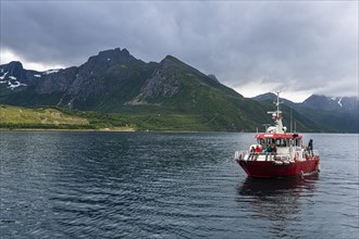 Little ferry bringing tourists to Svartisen glacier