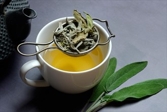 Sage tea in cup with tea strainer