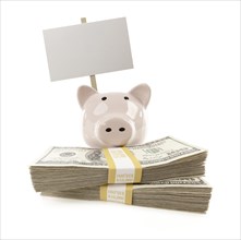 Pink piggy bank with stacks of hundreds of dollars and blank sign isolated on a white background