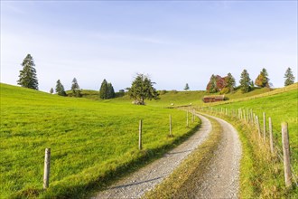 Landscape near Rieden am Forggensee