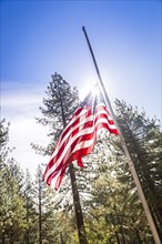 Dramatic half mast american flag among trees