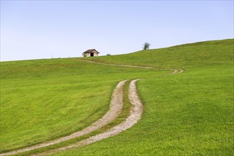 Landscape near Rieden am Forggensee