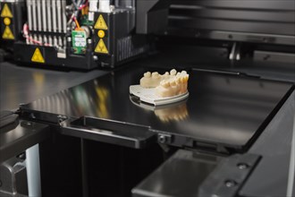 Open 3D printer with finished 3D printed dental implant bridge