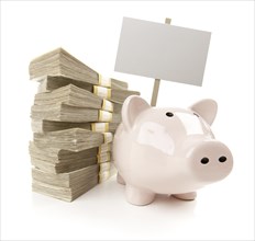 Pink piggy bank with stacks of hundreds of dollars and blank sign isolated on a white background
