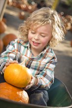 Adorable little boy sitting in wheelbarrow and holding his pumpkin in a rustic ranch setting at the pumpkin patch