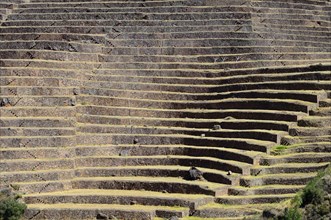 Walled terraces in the Inca ruins