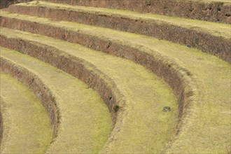 Walled terraces in the Inca ruins