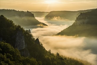 View from Eichfelsen to Werenwag Castle with morning fog