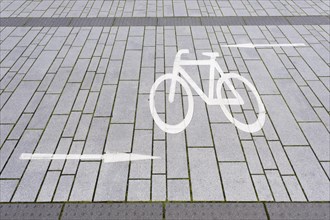 Pictogram bicycle with directional arrows