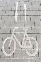 Pictogram bicycle with directional arrows