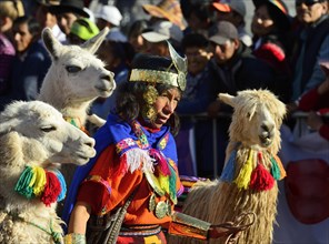 Man in Inca costume with two llamas and an alpaca at the parade on the eve of Inti Raymi