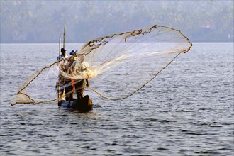 Ein Fischer Mann wirft das Fischernetz in Backwaters von Cherai