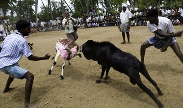 â€˜kidaai Muttu'