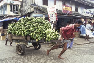 Banana load being pulled on a handcart in Ernakulam