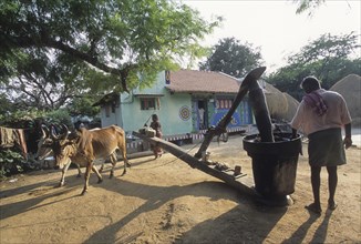 Wooden oil crusher called Marachekku in Tamil Nadu