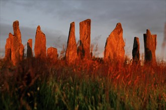 Stone Circle of Callanish