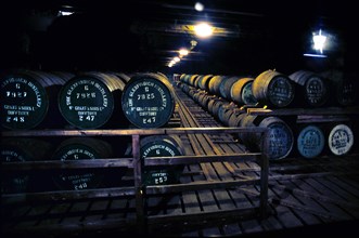 Glenfiddich Distillery