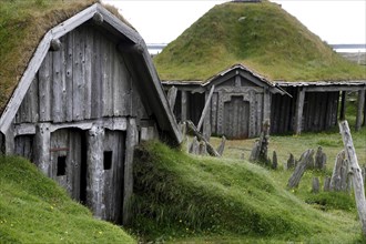 Viking farm