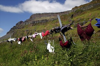 Fence with bras