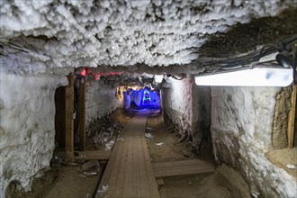 Underground permafrost tunnelsin the Melnikov Permafrost Institute