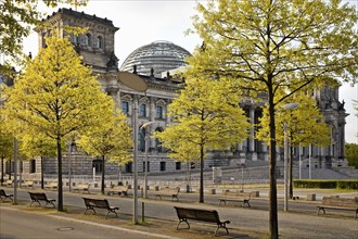 Reichstag early morning