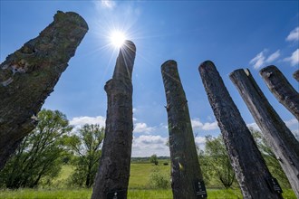 Woodhenge near Pevestorf