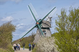 Windmill Charlotte