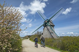 Windmill Charlotte