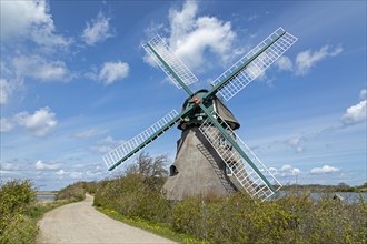 Windmill Charlotte