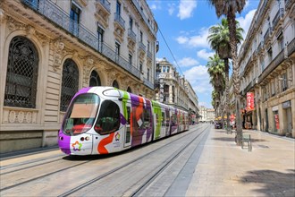 Alstom Citadis tram Tramway de Montpellier public transport in Rue de Maguelone in Montpellier