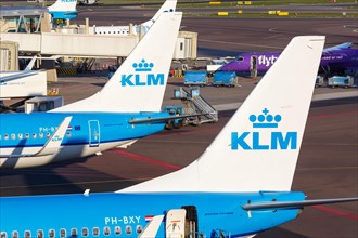 Boeing 737 aircraft of KLM Royal Dutch Airlines at Amsterdam Schiphol Airport