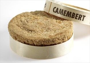 Camembert with Calvados