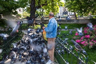 Man feeding doves on the Seine Island