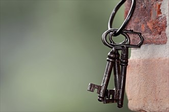 Key ring with old keys hanging on a wall