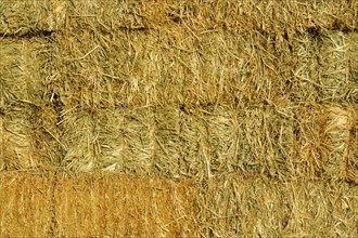 Abstract of stacked straw hay bails