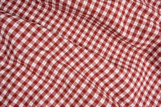 Red and white checkered picnic blanket detail