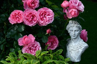 Bust with roses