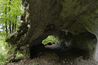 Passage cave at the Kuehstein