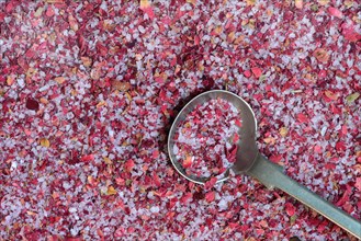 Rose salt with spoon