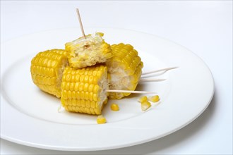 Cooked corn cobs
