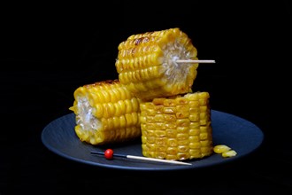 Grilled corn on the corn cob