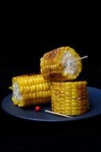 Grilled corn on the corn cob