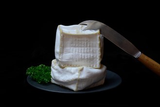 French soft cheese