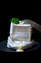 French soft cheese