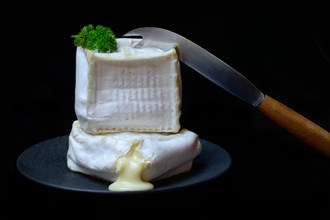 French soft cheese
