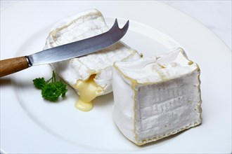 French soft cheese