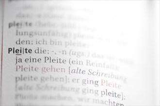 Entry of the term Pleite in the German Duden for spelling