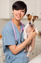 Smiling attractive mixed-race veterinarian doctor or nurse with puppy in an office or laboratory setting